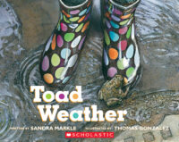 Toad Weather