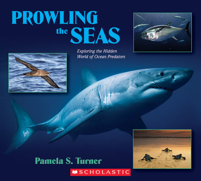 Prowling the Seas