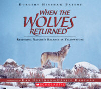 When the Wolves Returned