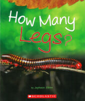 How Many Legs?