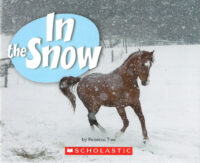 In the Snow