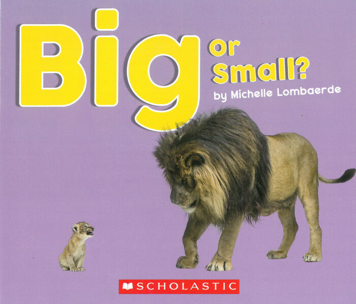 Big or Small?