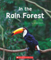 In the Rain Forest