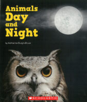 Animals Day and Night