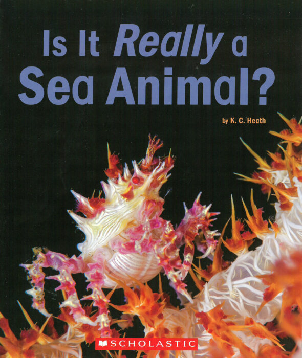 Is It Really a Sea Animal?