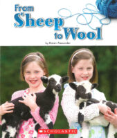 From Sheep to Wool