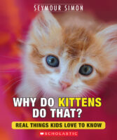 Why Do Kittens Do That?