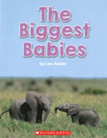 The Biggest Babies