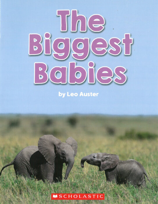 The Biggest Babies
