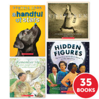 Grade 6 Below-Level Pack (Levels N-S)