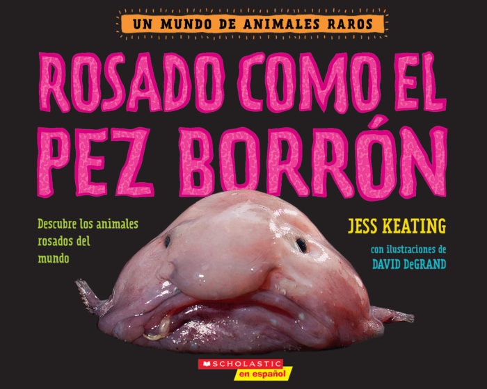 Rosado como el pez borrón