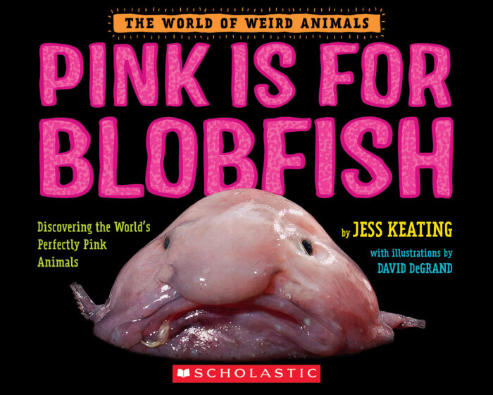 Pink is For Blobfish