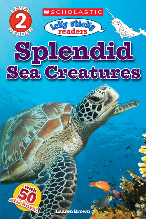 Splendid Sea Creatures