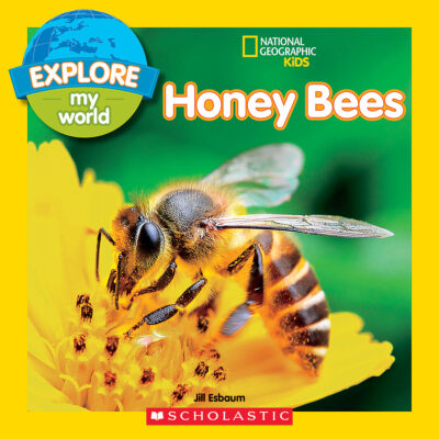 National Geographic Kids: Explore My World: Honey Bees