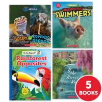 My Books Summer Grade 1 Nonfiction 5-Book Pack