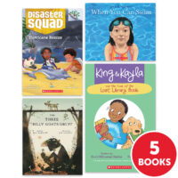 My Books Summer Grade 2 Fiction 5-Book Pack