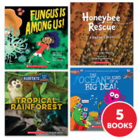 My Books Summer Grade 2 Nonfiction 5-Book Pack