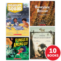 My Books Summer Grade 2 Fiction/Nonfiction 10-Book Bundle