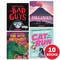 My Books Summer Grade 3 Fiction/Nonfiction 10-Book Bundle