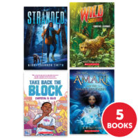 My Books Summer Grade 6 Fiction 5-Book Pack