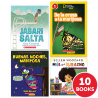 My Books Summer Spanish Grade 1 Fiction/Nonfiction 10-Book Bundle