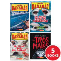 My Books Summer Spanish Grade 3 Nonfiction 5-Book Pack