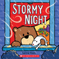 Stormy Night
