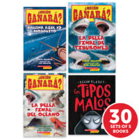 My Books Summer Spanish Grade 3 Nonfiction - Classroom Set