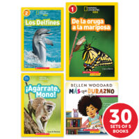 My Books Summer Spanish Grade 1 Nonfiction - Classroom Set
