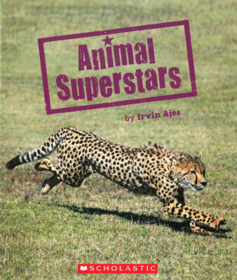 Animal Superstars