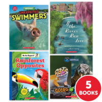 My Books Summer & Summer Express Workbook Grade 1 Nonfiction 5-Book Pack