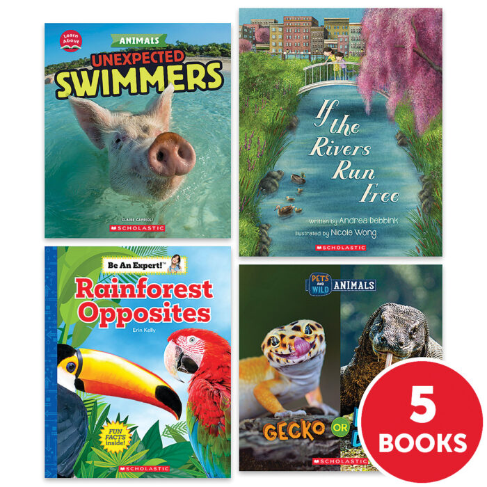 My Books Summer & Summer Express Workbook Grade 1 Nonfiction 5-Book Pack