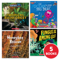 My Books Summer & Summer Express Workbook Grade 2 Nonfiction 5-Book Pack