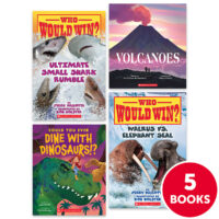 My Books Summer & Summer Express Workbook Grade 3 Nonfiction 5-Pack
