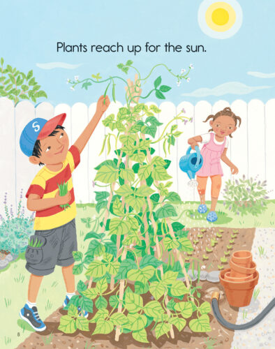 Plants Feed Me by Lizzy Rockwell | Scholastic Education