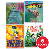 My Books Summer Grade 1 Fiction/Nonfiction 6-Book Pack