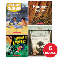 My Books Summer Grade 2 Fiction/Nonfiction 6-Book Pack