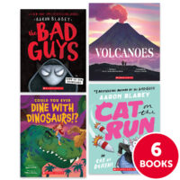 My Books Summer Grade 3 Fiction/Nonfiction 6-Book Pack