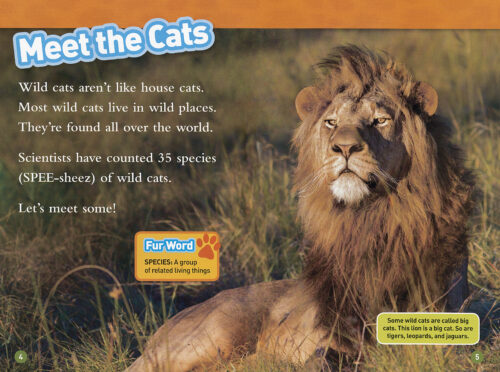 National Geographic Kids レベル1,2,3 National Geographic Kids Readers 6 Book Set (National