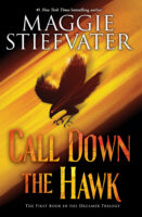 The Dreamer Trilogy #1: Call Down the Hawk