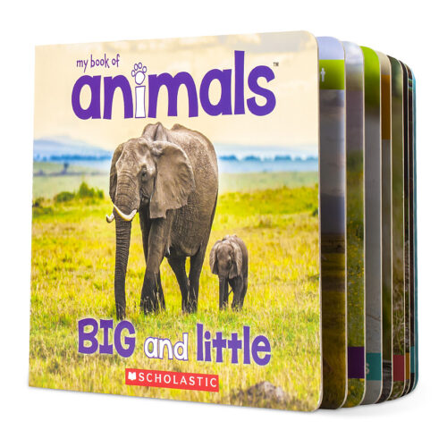 Big and Little by Liana James | Scholastic Education