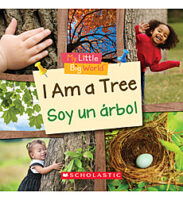 I Am a Tree / Yo soy un árbol
