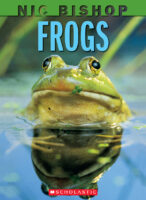 Frogs