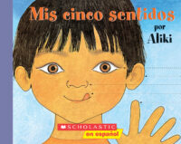 Mis cinco sentidos