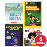 My Books Summer Spanish Grade 1 Fiction/Nonfiction 6-Book Pack