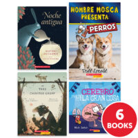 My Books Summer Spanish Grade 2 Fiction/Nonfiction 6-Book Pack