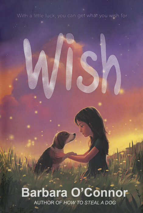 Wish by Barbara O'Connor  The Scholastic Teacher Store