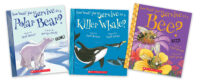 Guided Reading Level R Pack Complete