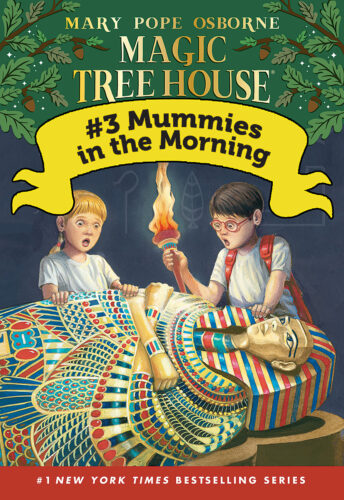 絵本/児童書 magic tree house ORT ORTオススメ本⑤】小1からの多読にオススメのORT絵本紹介。箱の