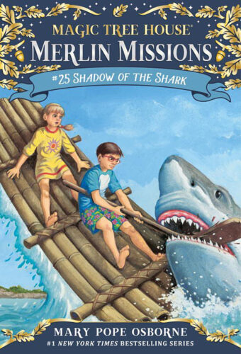 洋書 Magic Tree House Merlin Missions 1-25 9781524765248MagicTreeHouseMer